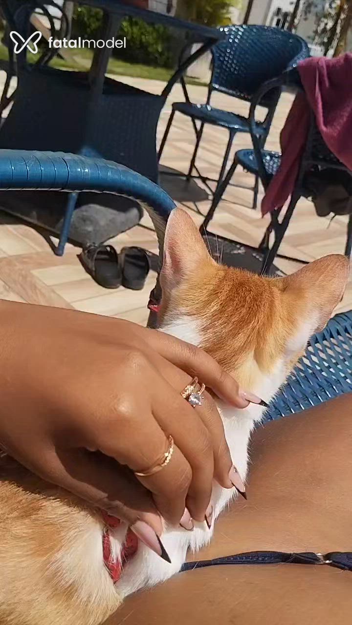 Acompanhante mulher morena (o) de olhos pretos - Kety Fernandes