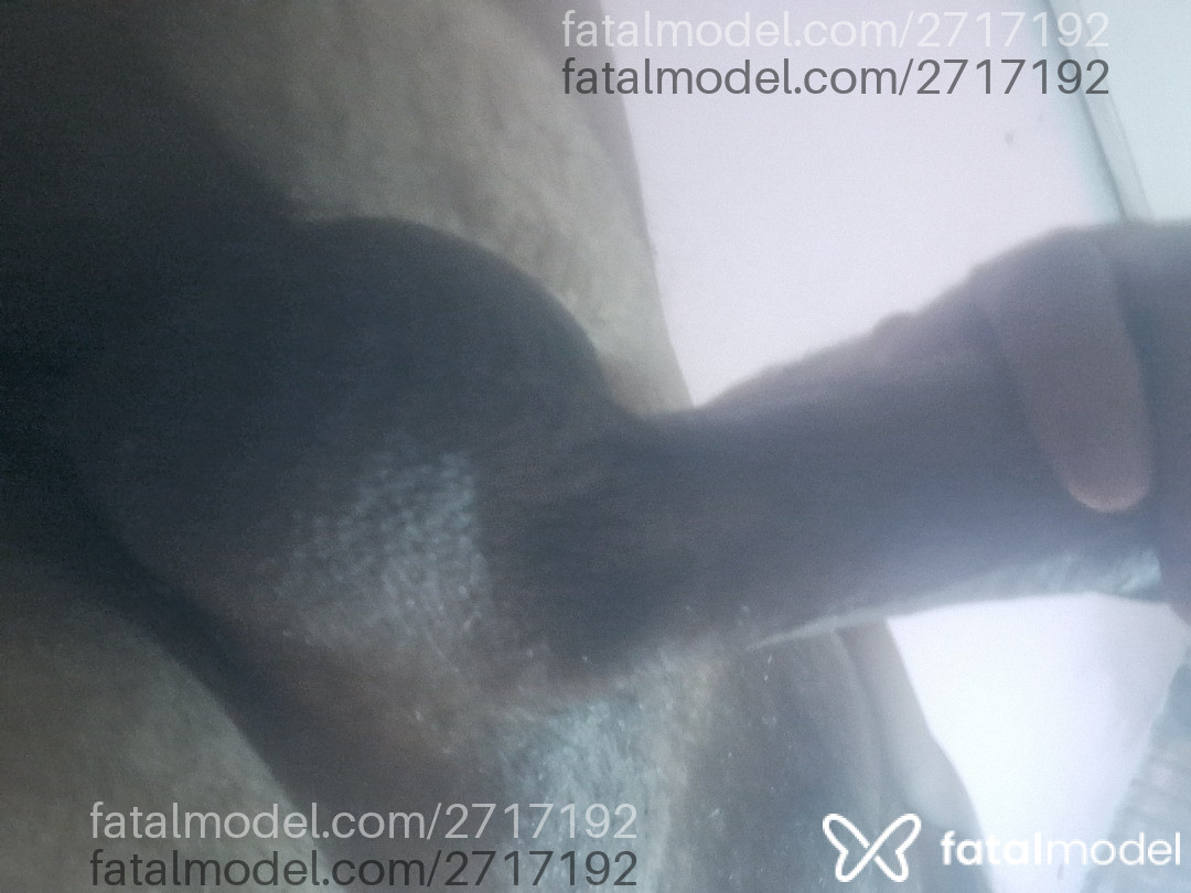 Imagem 7