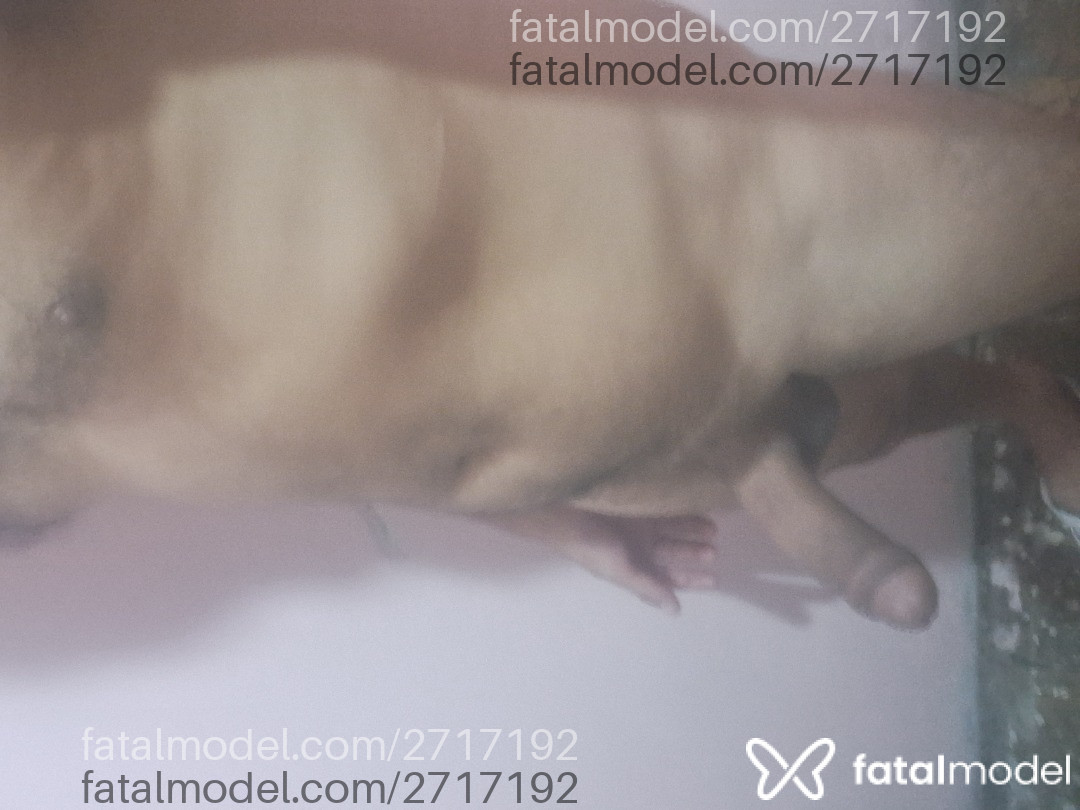 Imagem 6