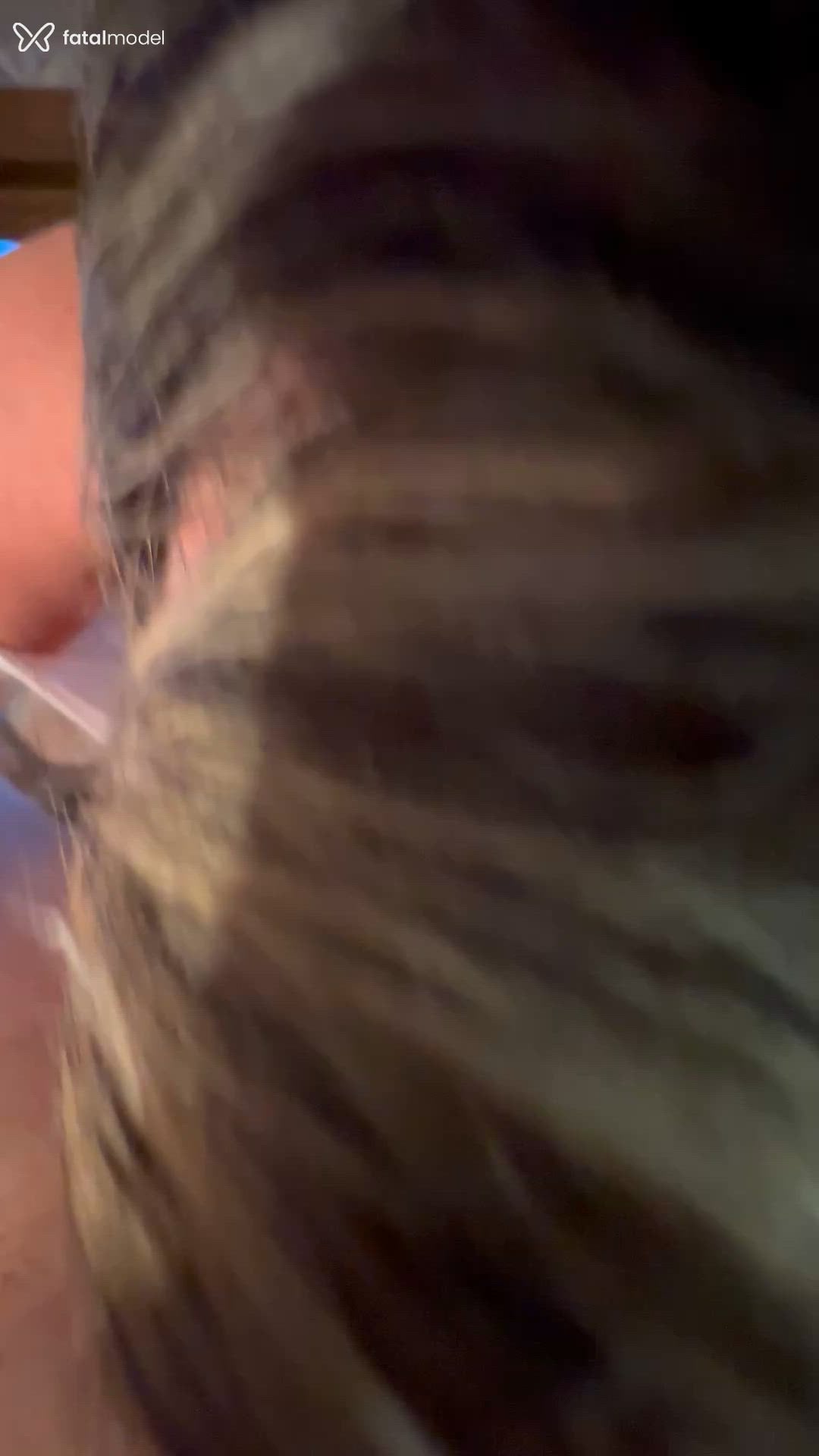 Acompanhante mulher trans loira (o) de olhos castanhos - Kakauzinha