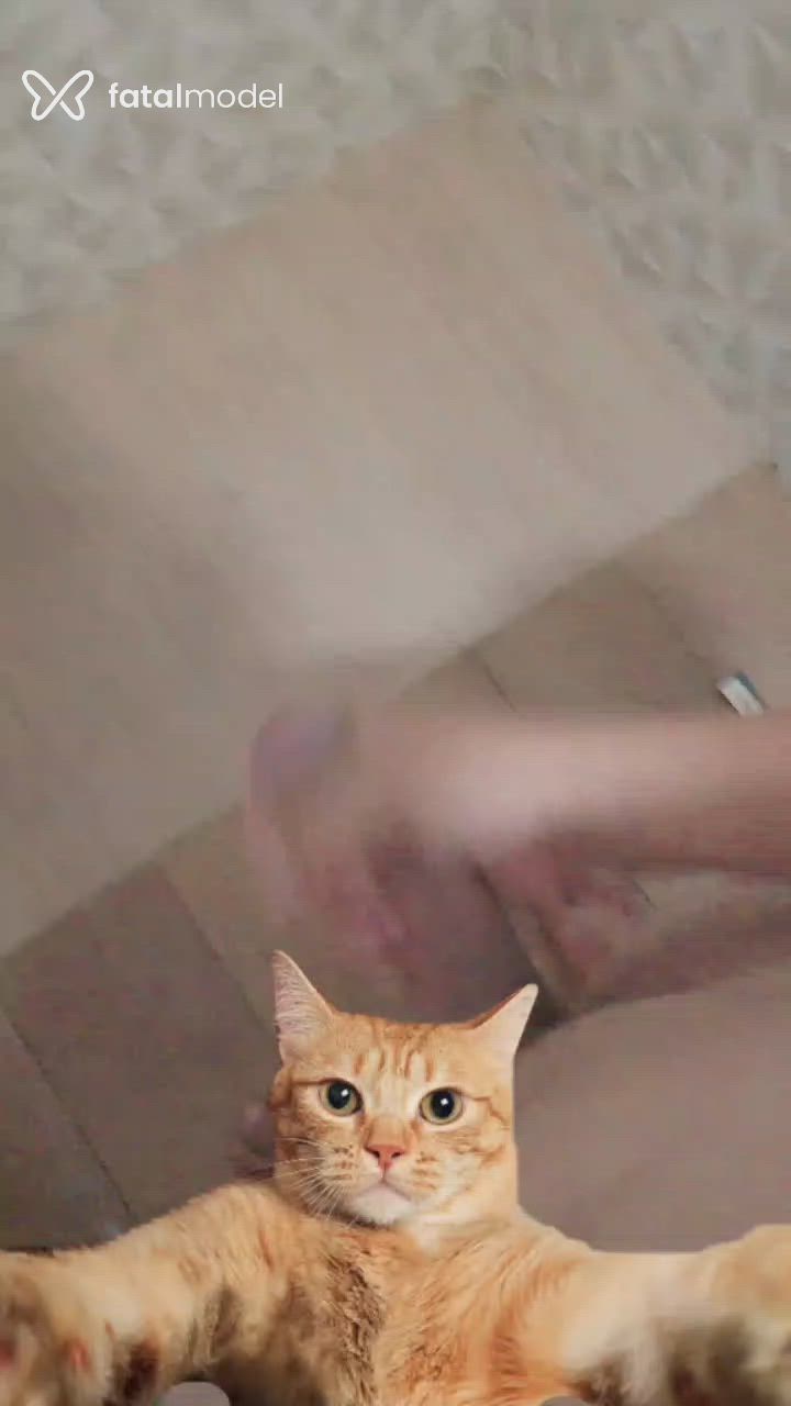 Vídeo 3