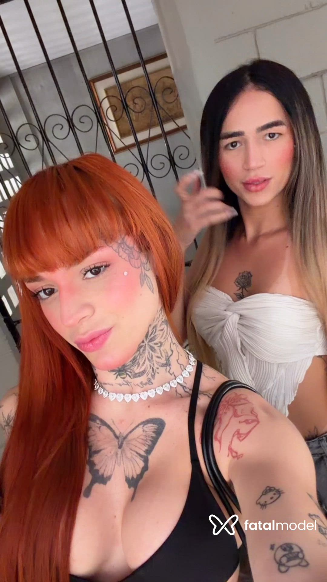 Vídeo 12