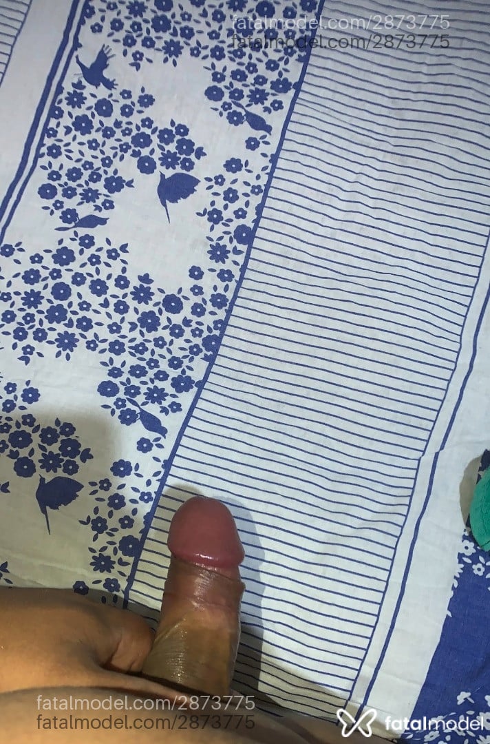 Acompanhante homem morena (o) de olhos castanhos - Alves