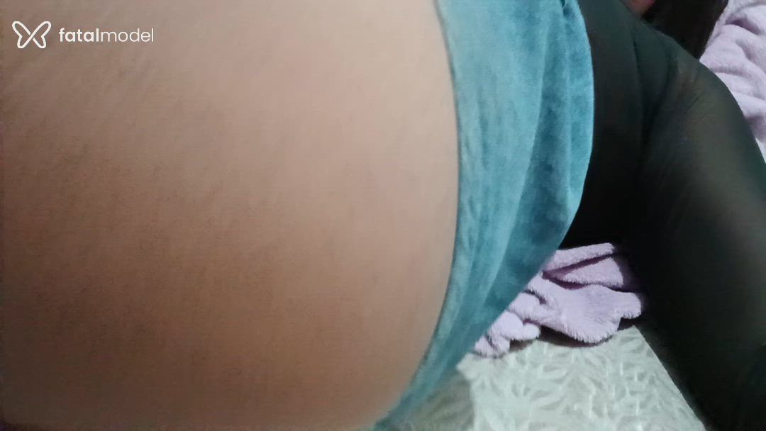 Acompanhante mulher trans com cabelo castanho de olhos pretos - Nuelly