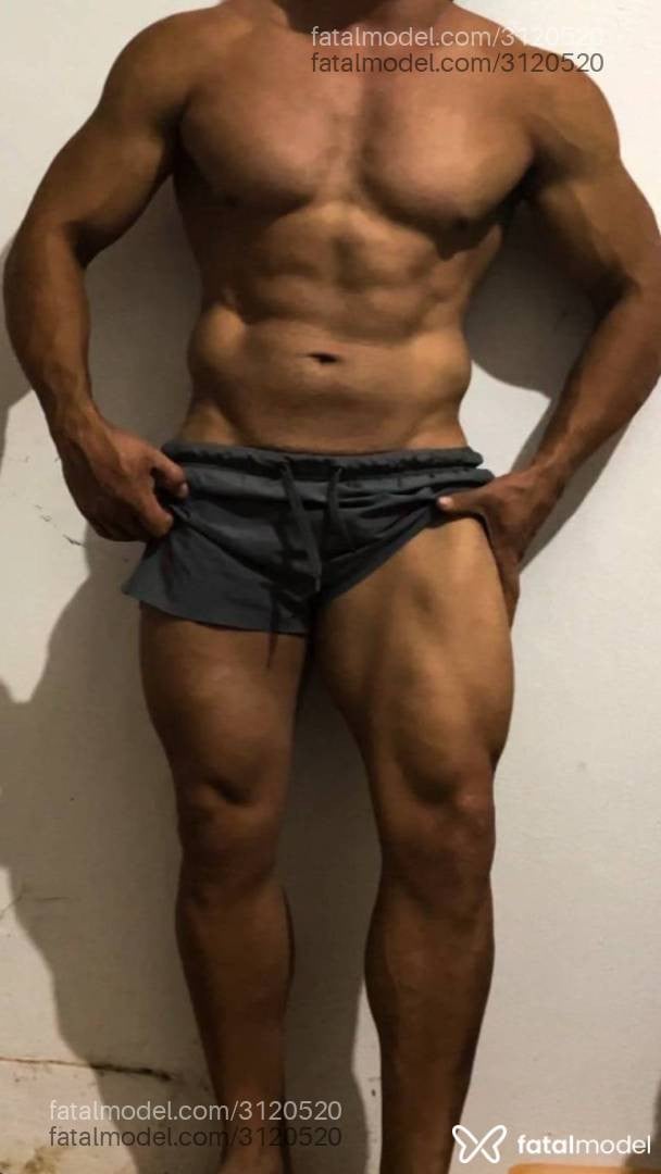 Acompanhante homem morena (o) de olhos pretos - Pereira