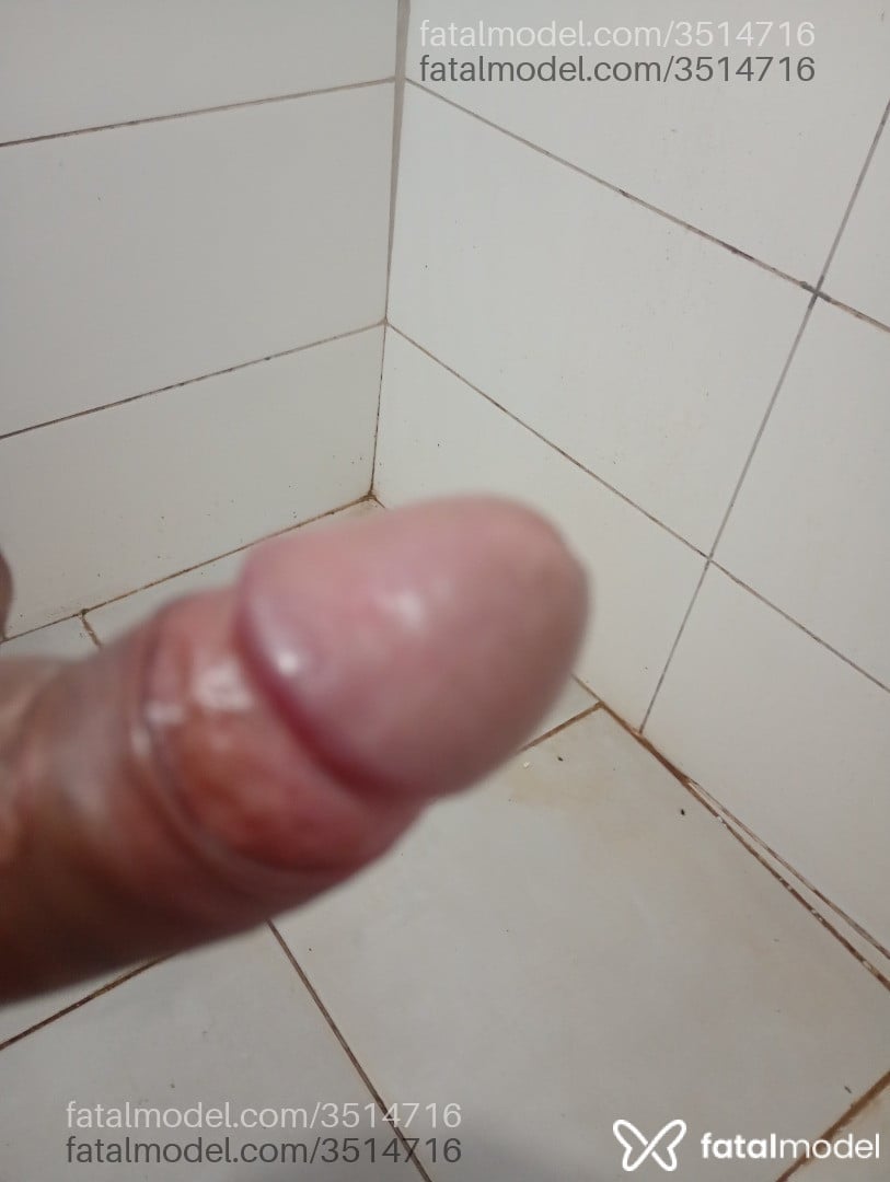 Imagem 4