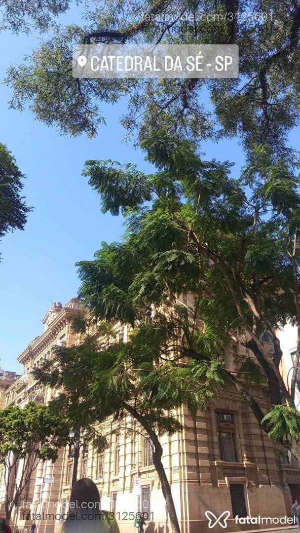 Acompanhante mulher trans loira (o) de olhos castanhos em São Paulo - Sabrina