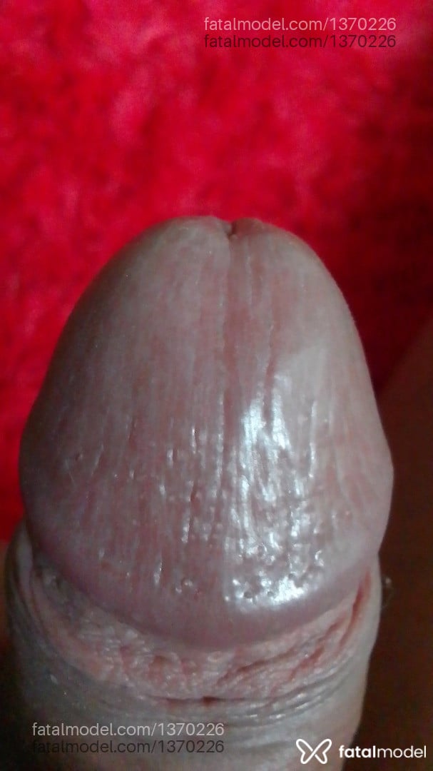 Acompanhante mulher trans morena (o) de olhos pretos - Keverlly Acompanhante mulher trans morena (o) de olhos pretos - Keverlly