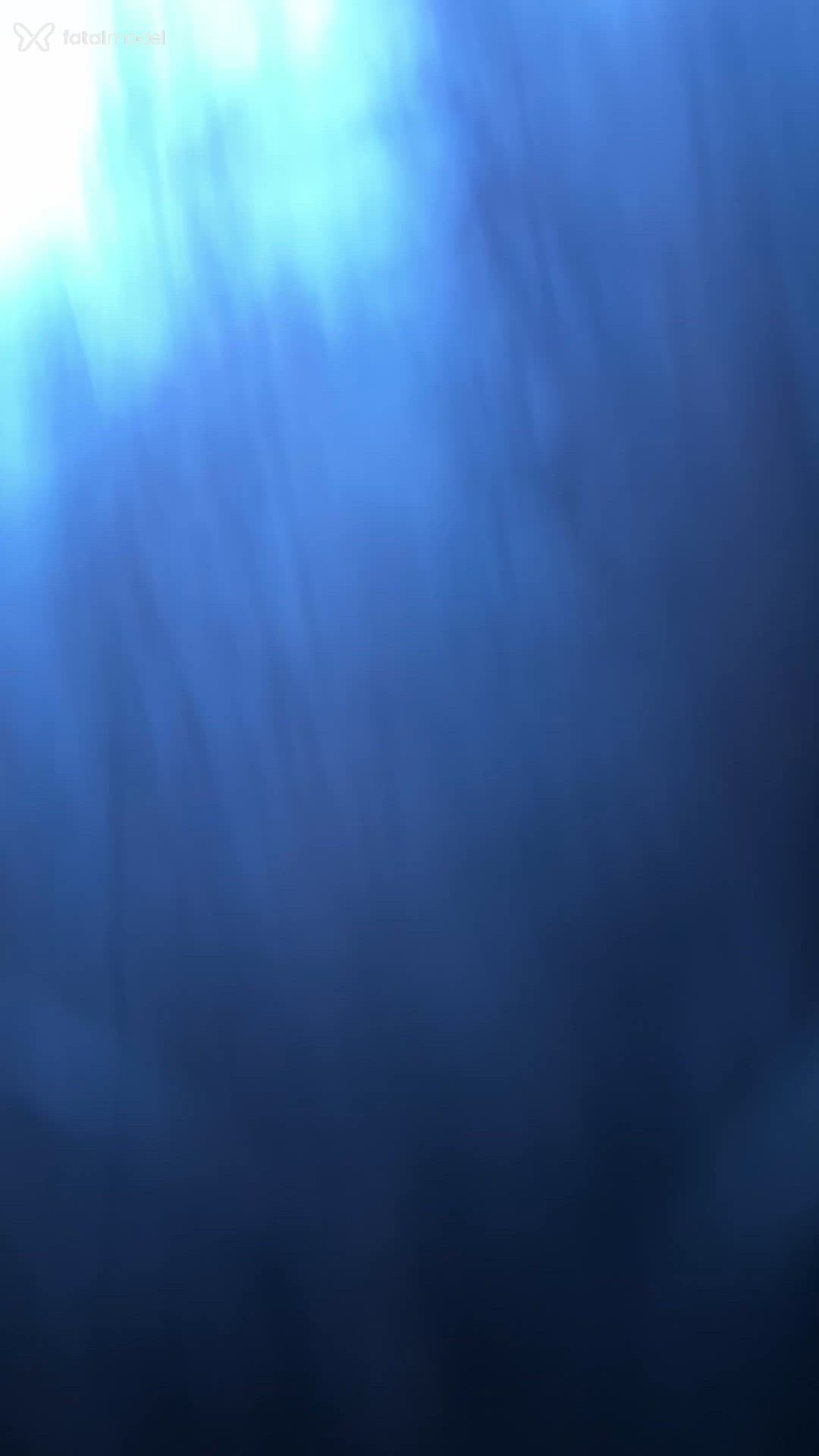 Vídeo 11