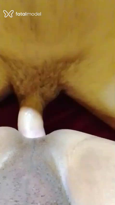 Acompanhante mulher trans morena (o) de olhos pretos - Rafaelly