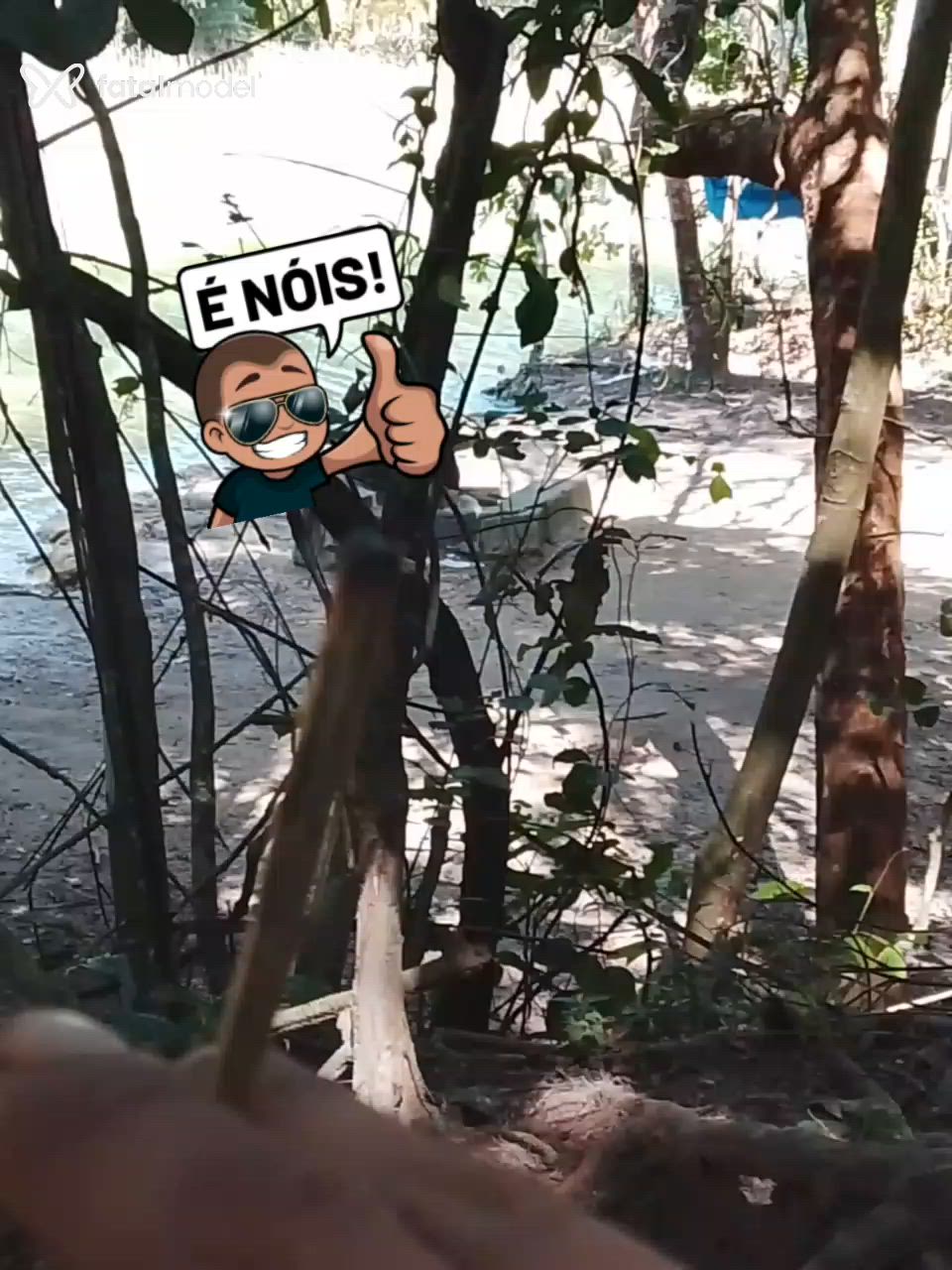 Vídeo 3