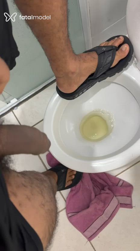 Acompanhante homem morena (o) de olhos verdes - Vilella