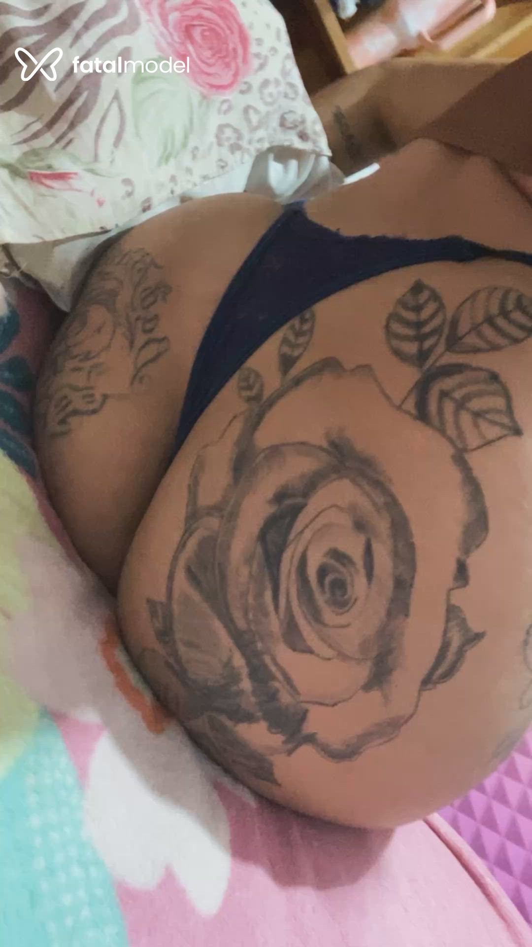 Acompanhante mulher morena (o) de olhos castanhos - Stefany Santos