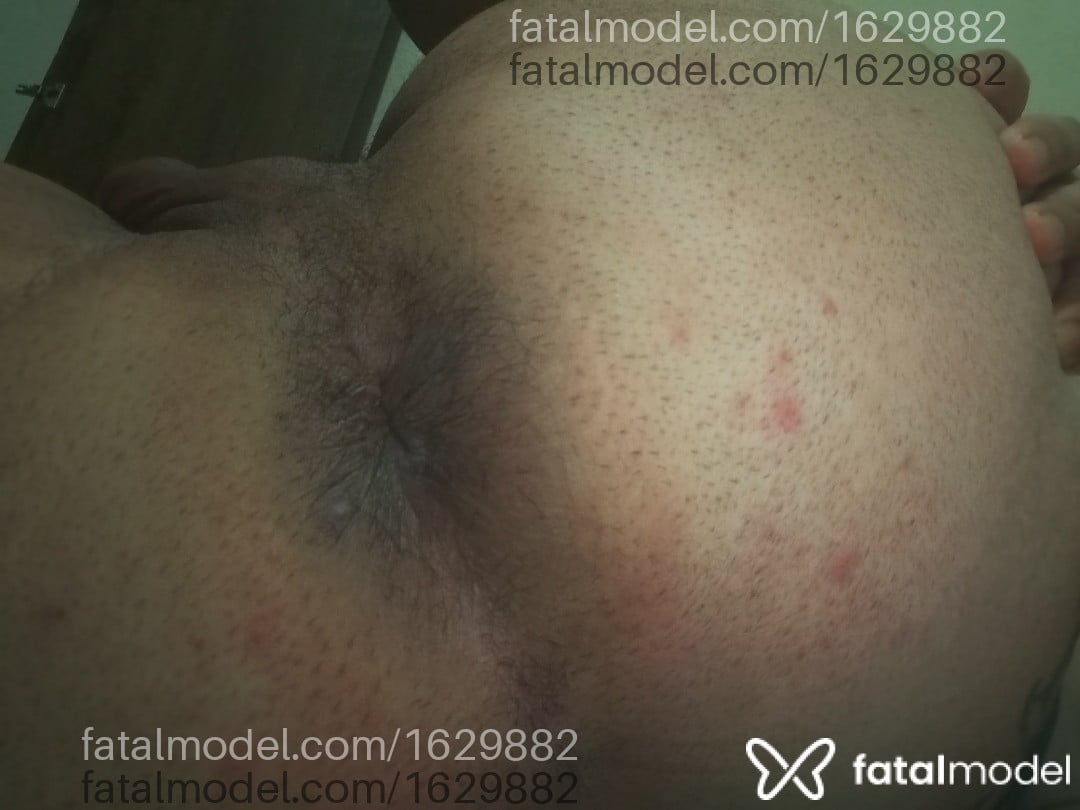 Acompanhante mulher trans morena (o) de olhos castanhos - Larissa Alves