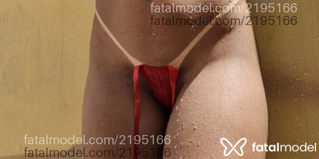 Imagem 12