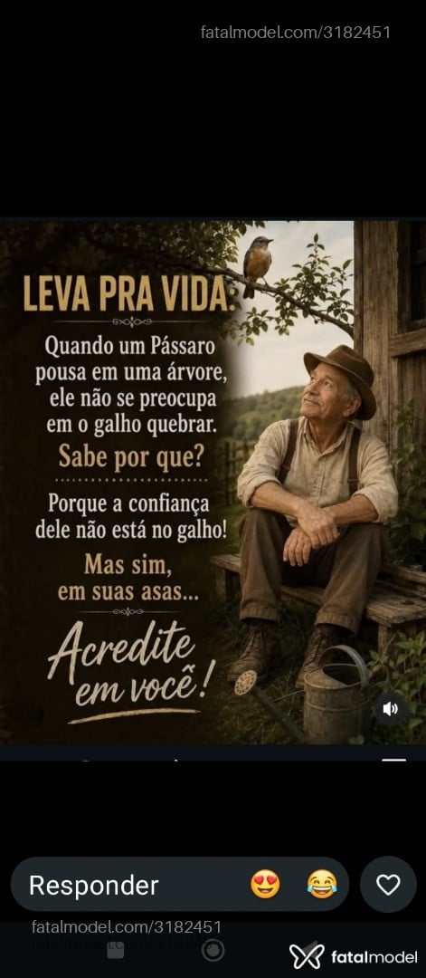 Acompanhante homem com cabelo castanho de olhos castanhos - Christyan