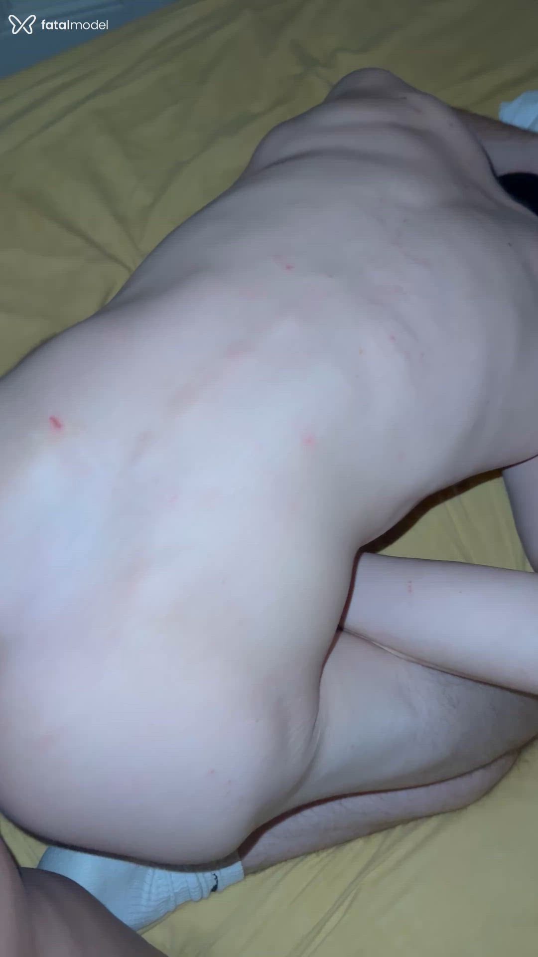 Acompanhante mulher trans com cabelo castanho de olhos castanhos - Alessandra