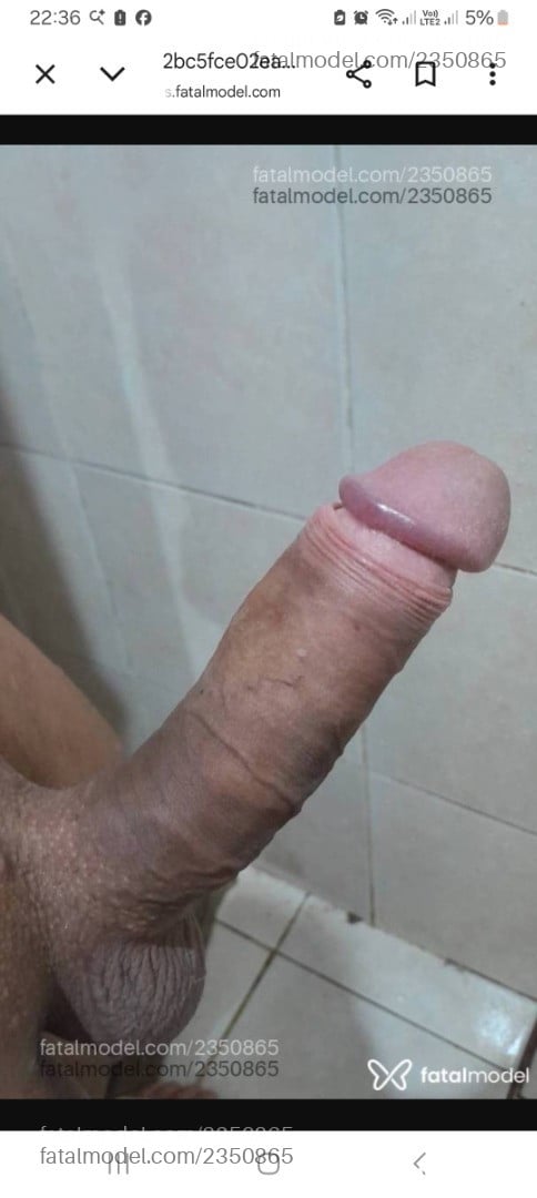 Imagem 4