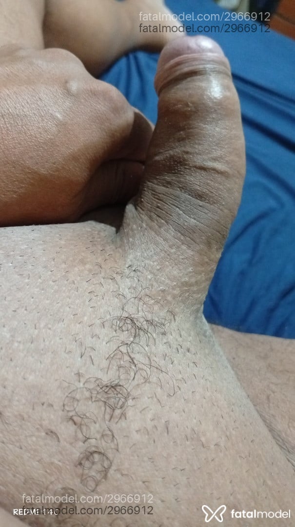 Acompanhante homem com cabelo castanho de olhos castanhos - Silva