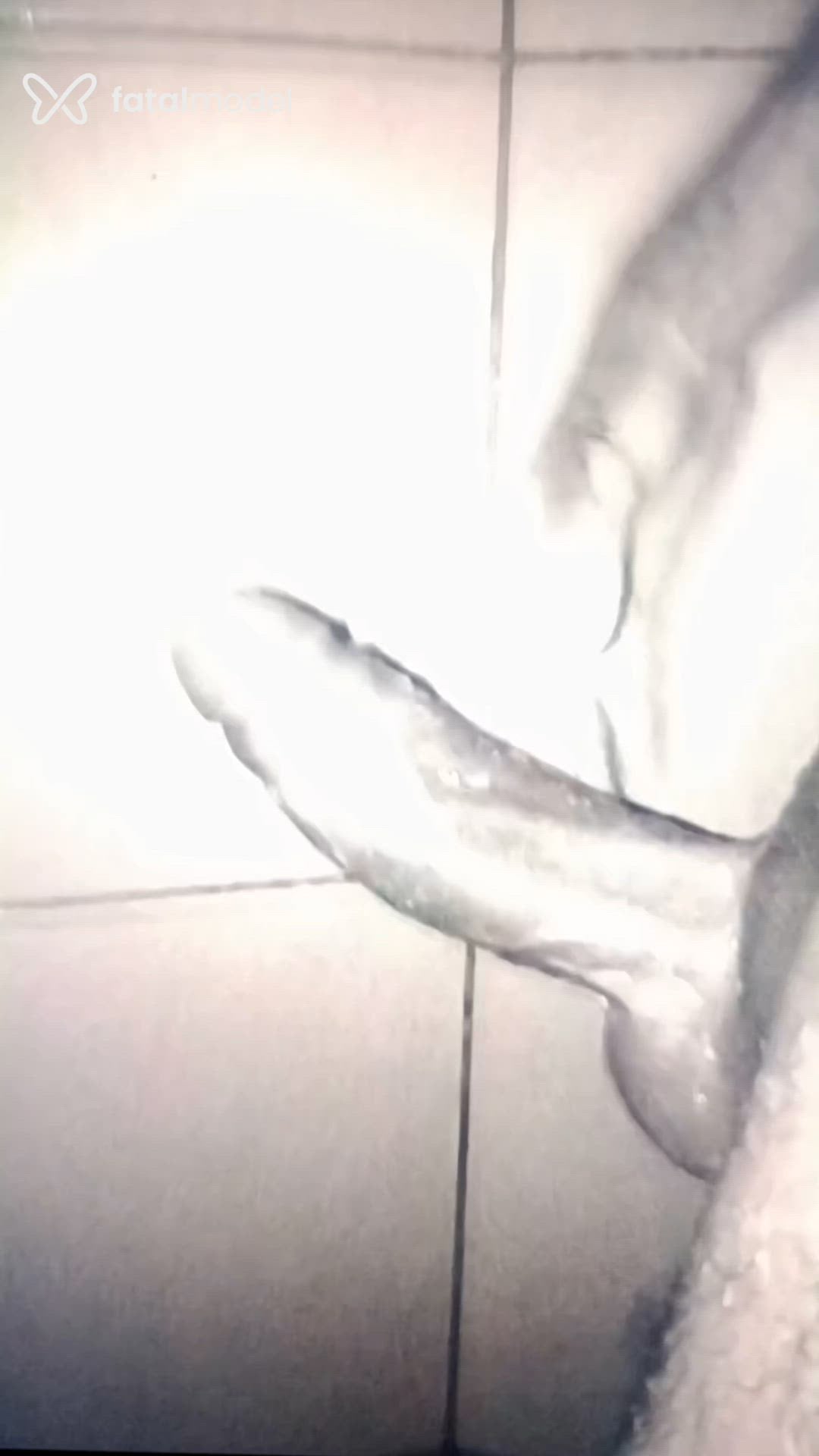Acompanhante homem com cabelo castanho de olhos castanhos - Tavaresz