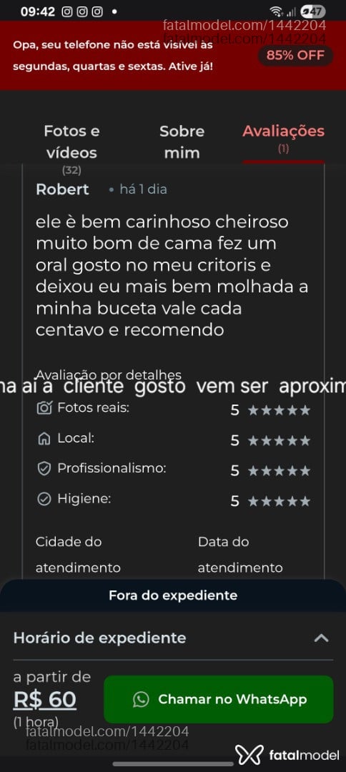 Acompanhante homem com cabelo castanho de olhos castanhos - Robert