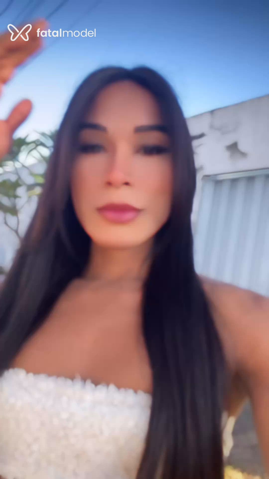 Vídeo 1