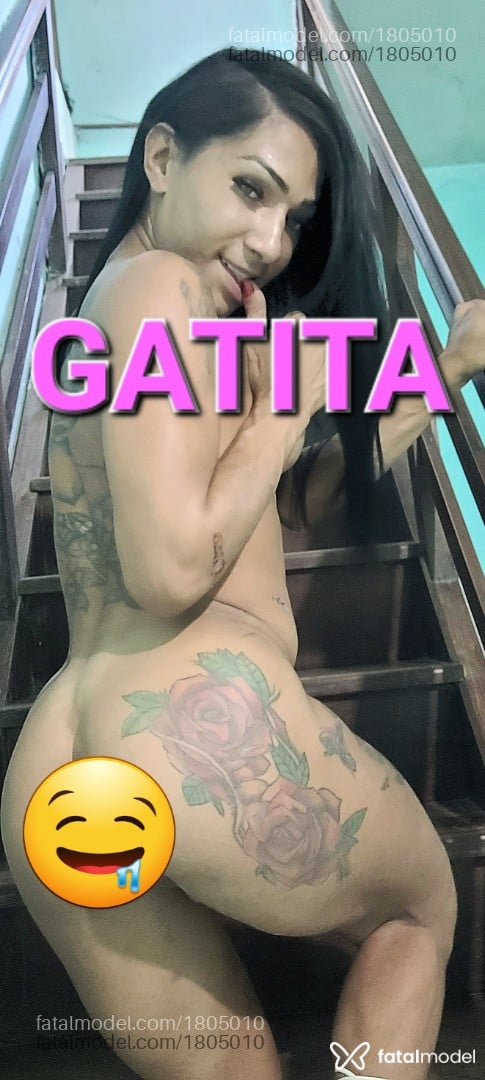 Acompanhante mulher trans morena (o) de olhos pretos - Paulina