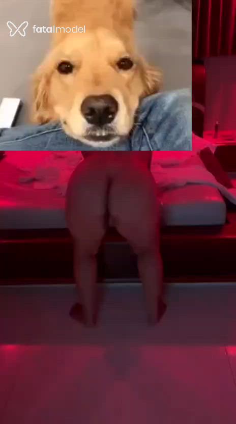 Vídeo 4