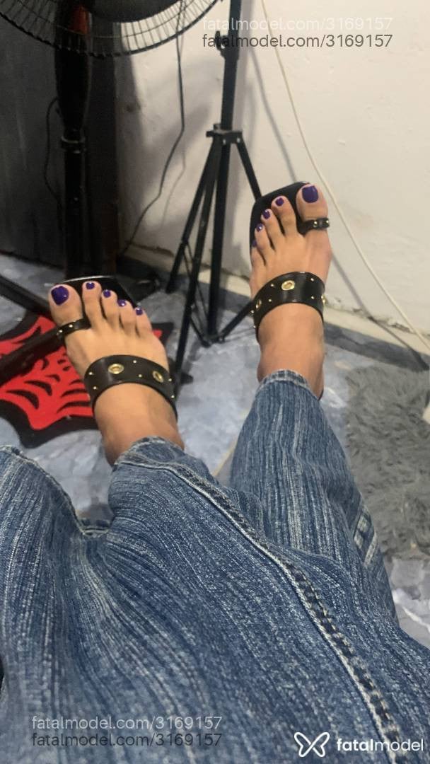 Acompanhante mulher trans morena (o) de olhos pretos - Mulatabrazil
