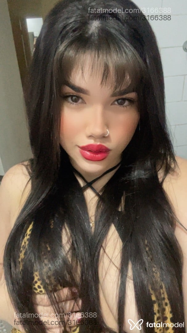 Imagem 7
