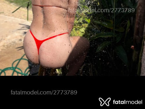 Imagem 3