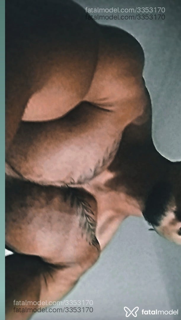 Acompanhante homem morena (o) de olhos castanhos - Srgomes