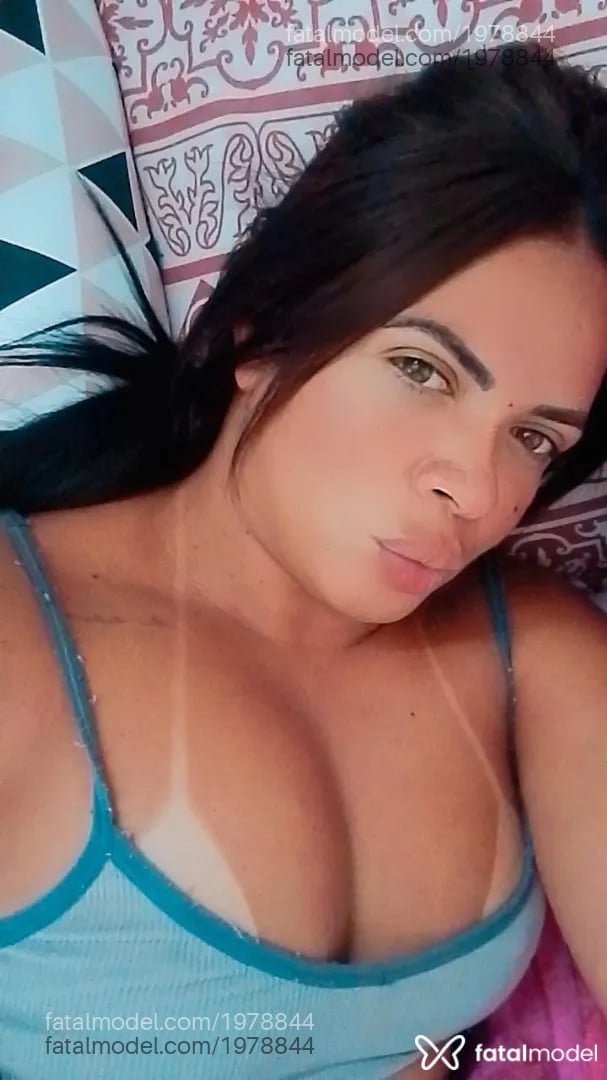 Imagem 3