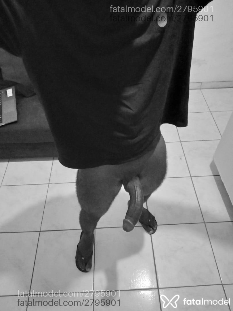 Acompanhante homem morena (o) de olhos pretos - Carlos
