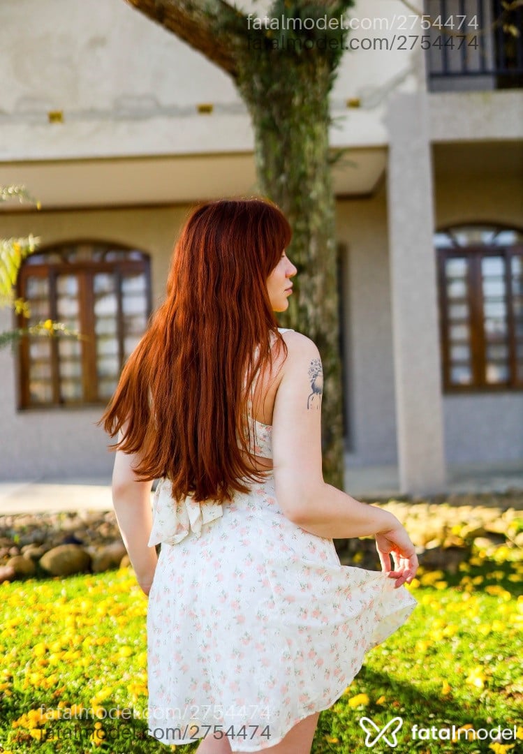 Imagem 7