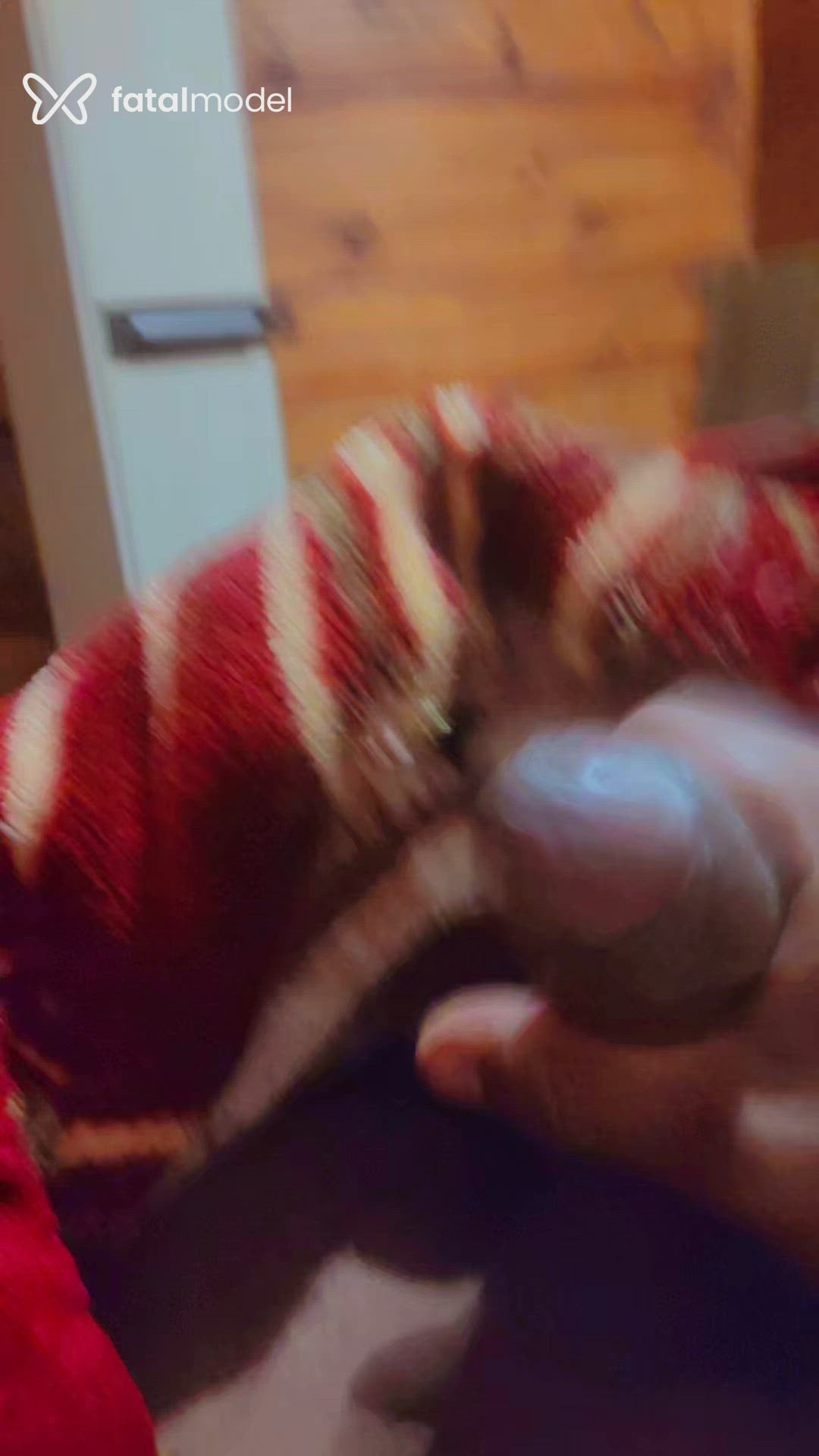 Vídeo 2
