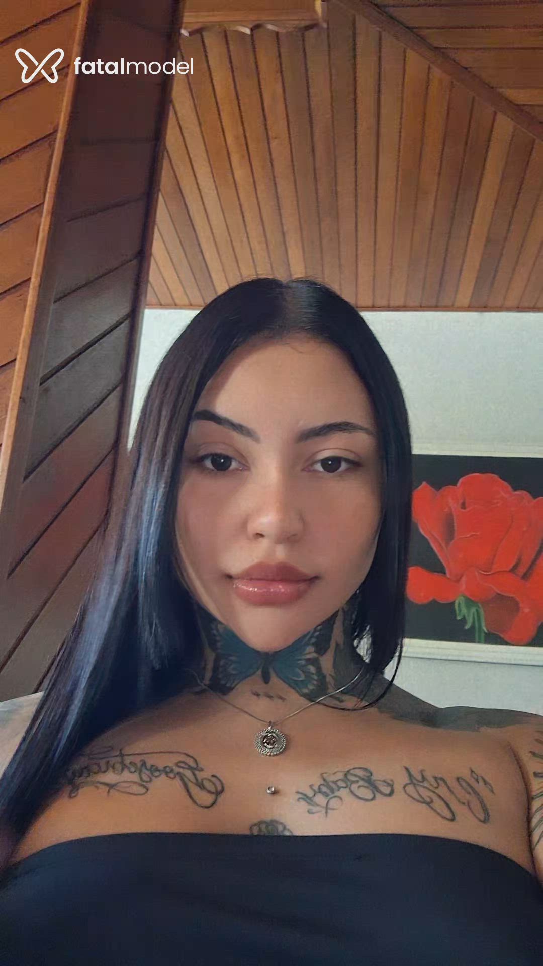 Vídeo 6