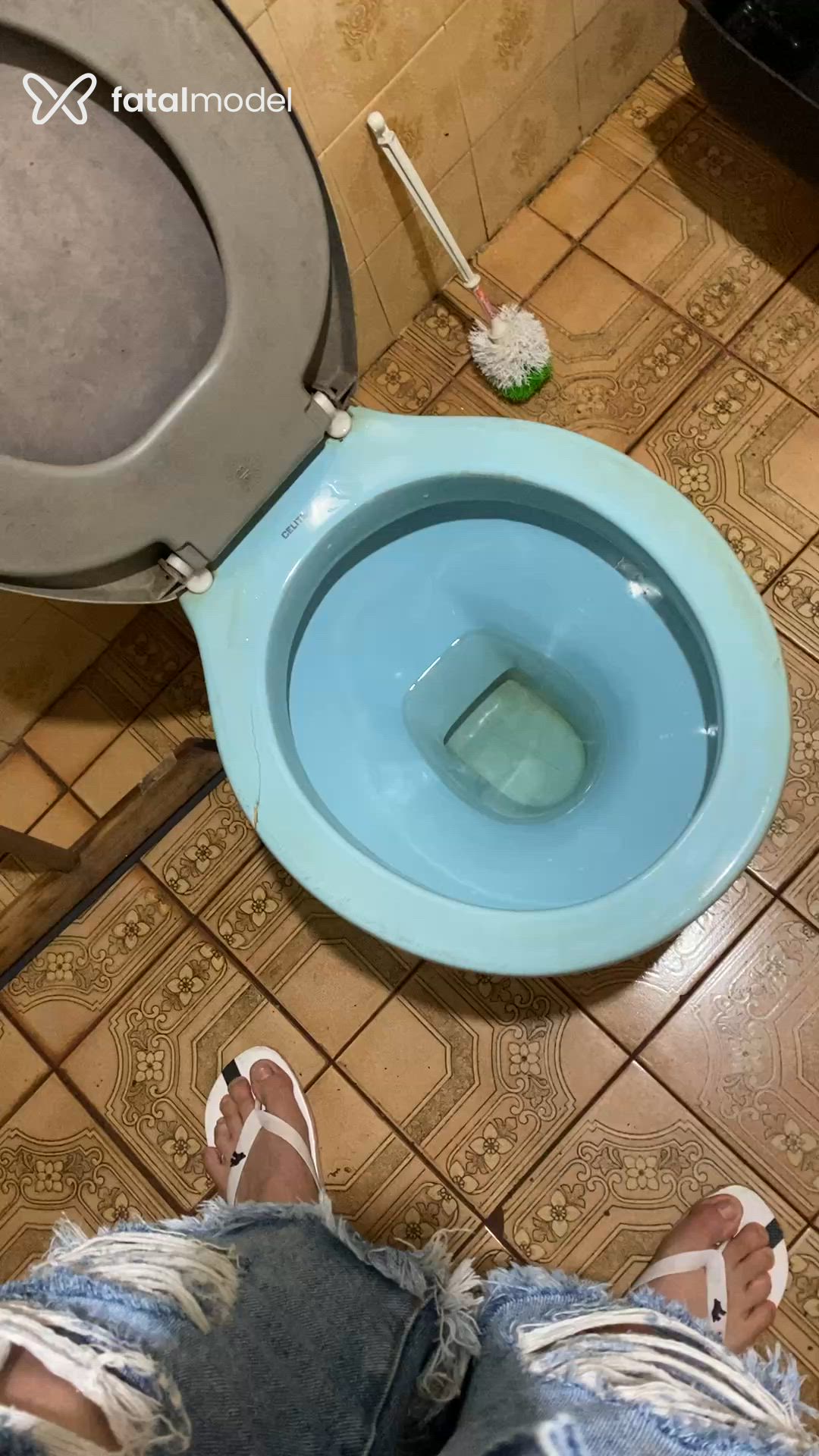 Vídeo 6