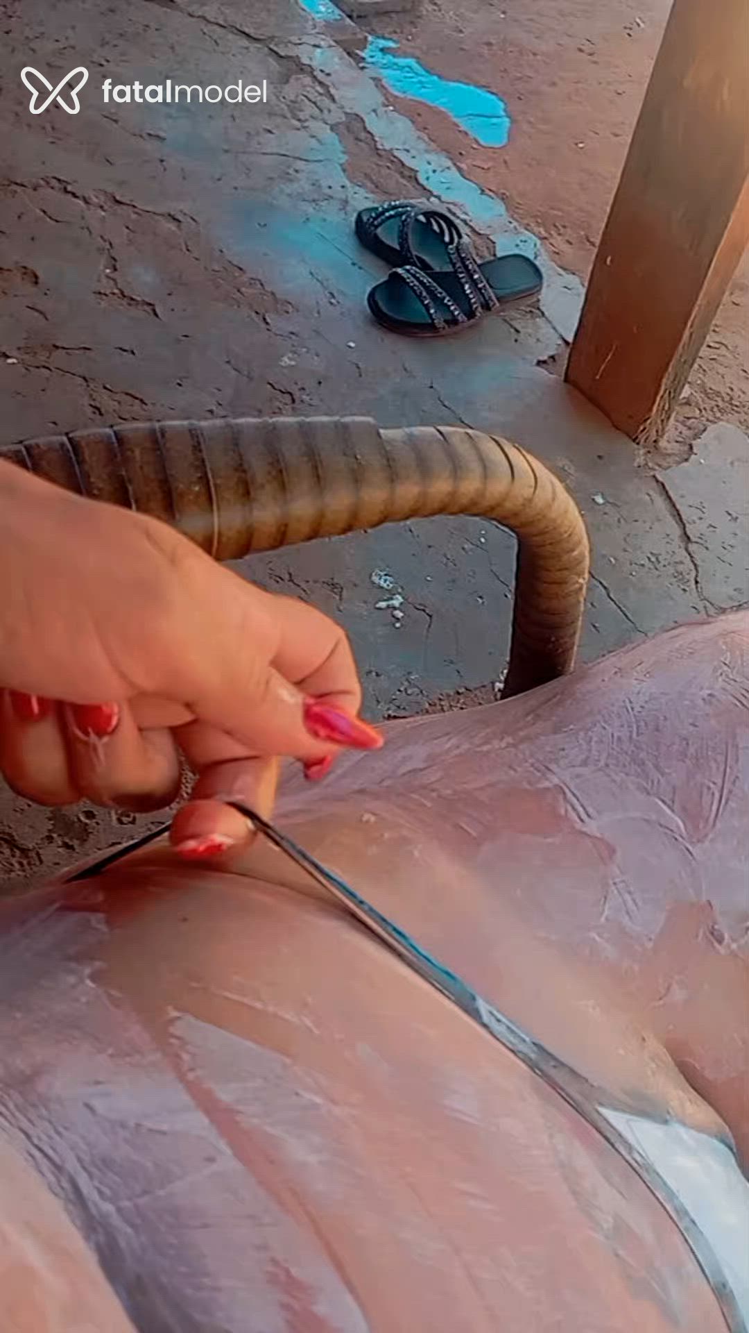 Vídeo 4