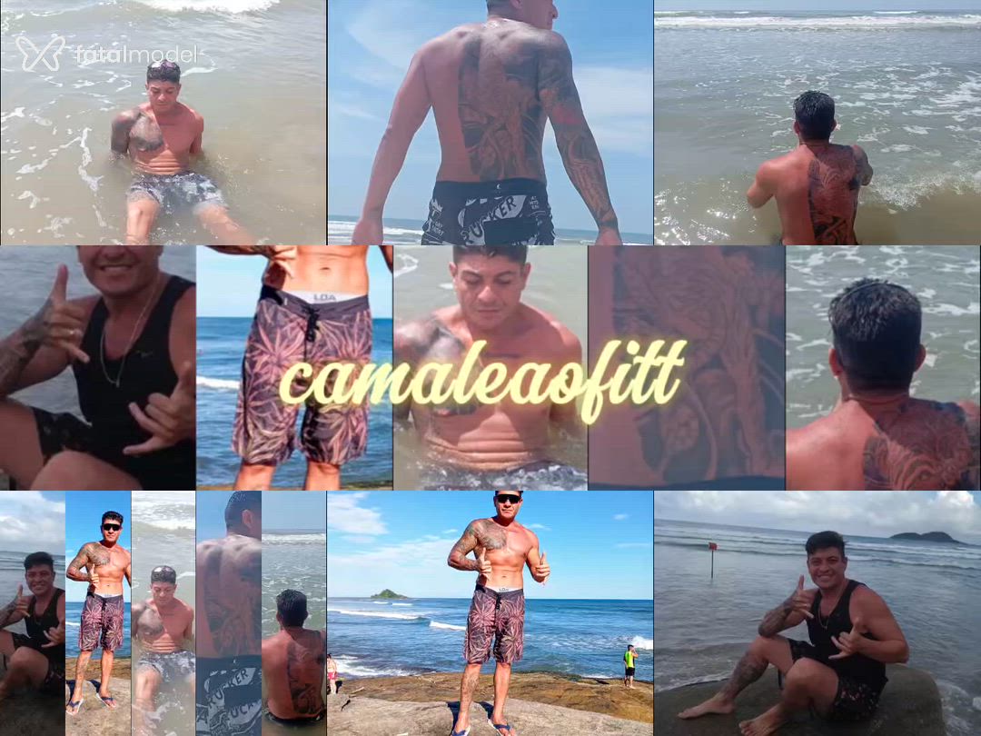 Acompanhante homem com cabelo castanho de olhos castanhos - Camaleaofitt