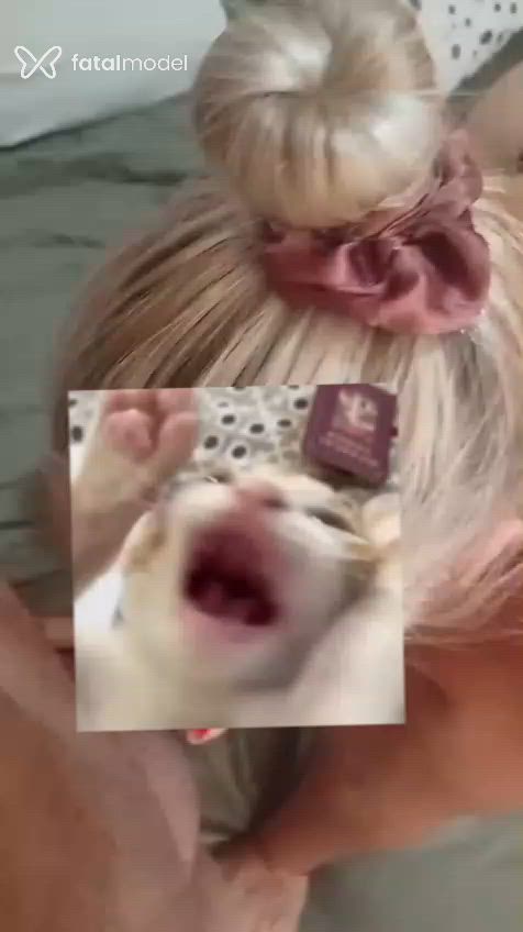 Vídeo 11