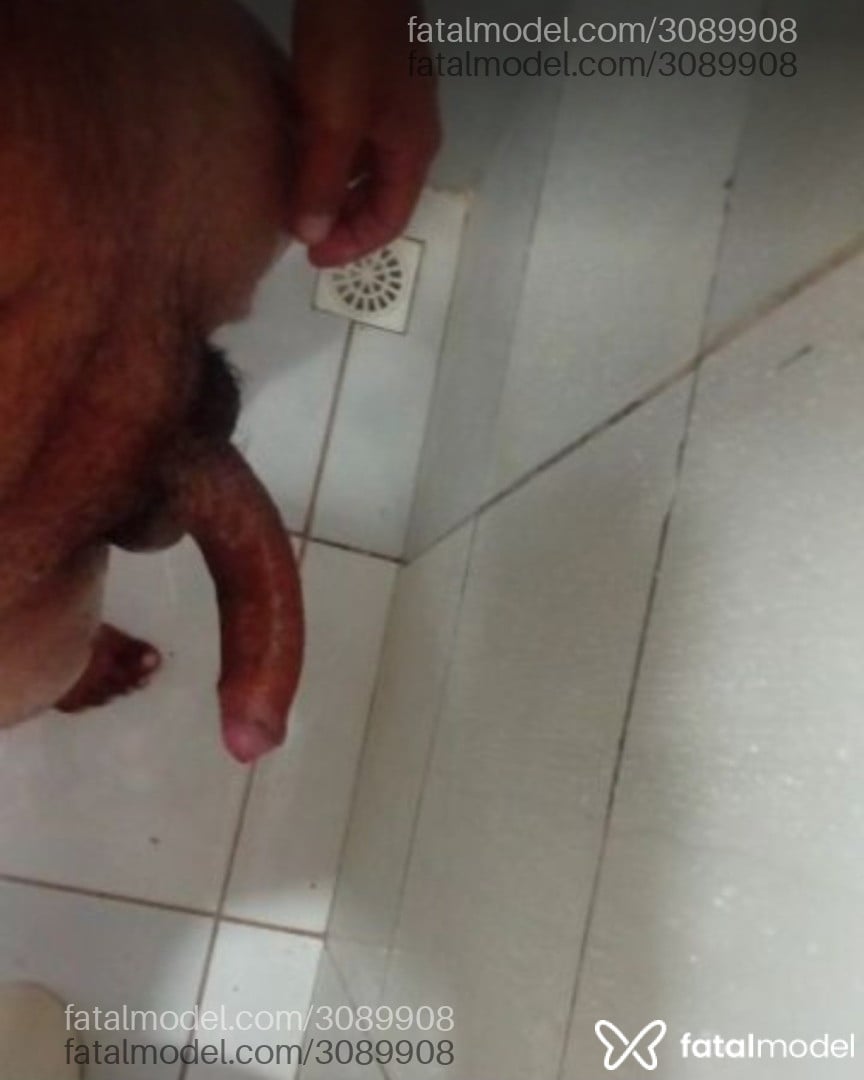 Imagem 5