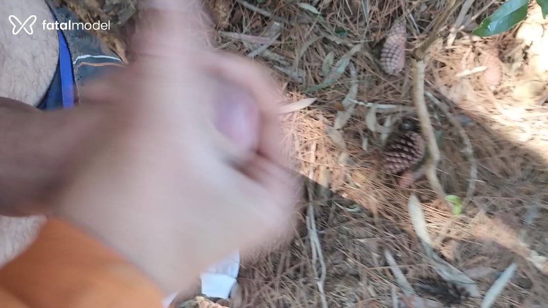 Acompanhante homem com cabelo castanho de olhos castanhos - Rocha