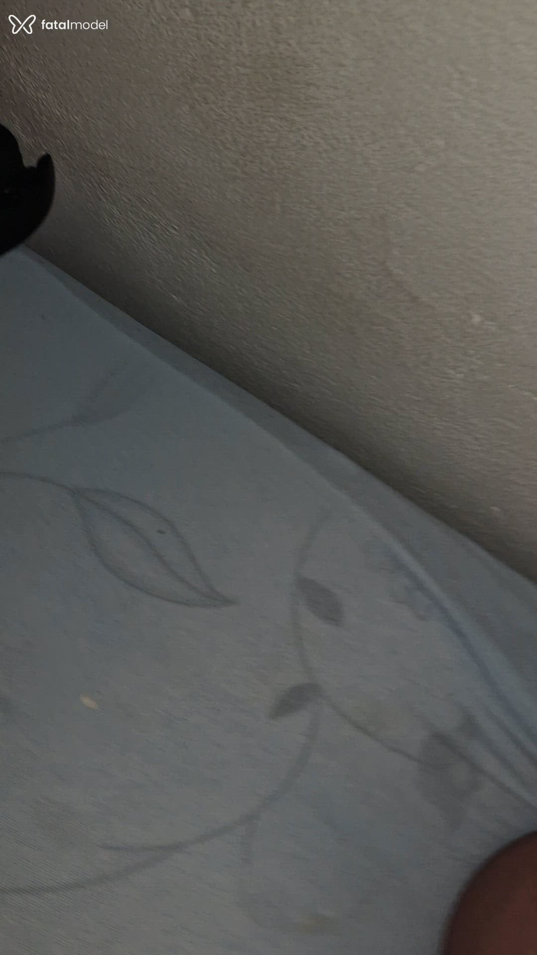 Vídeo 2