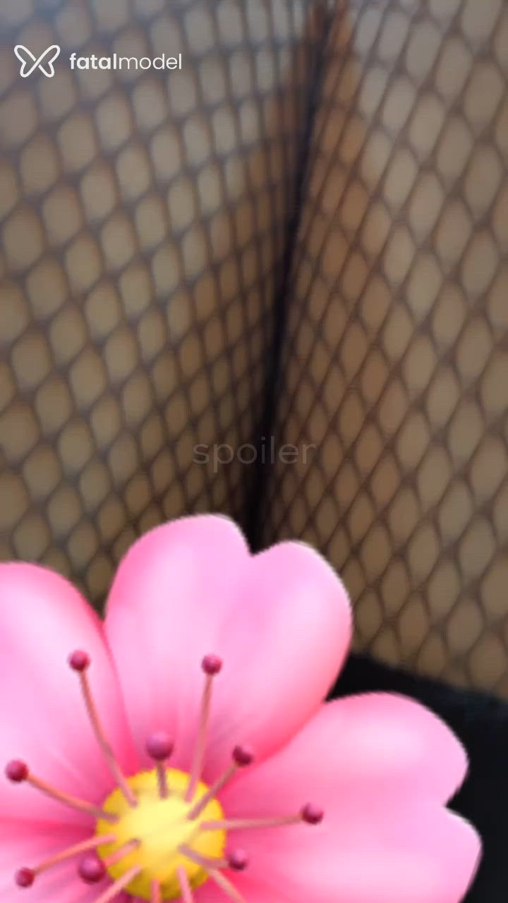 Vídeo 5