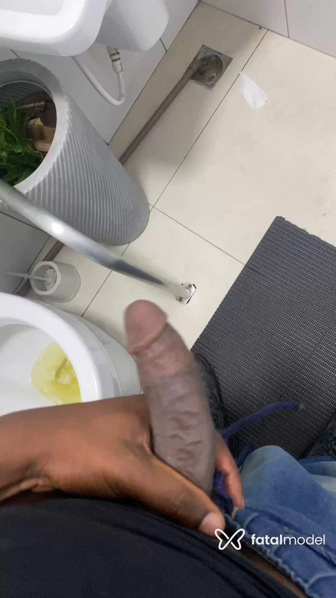 Vídeo 5