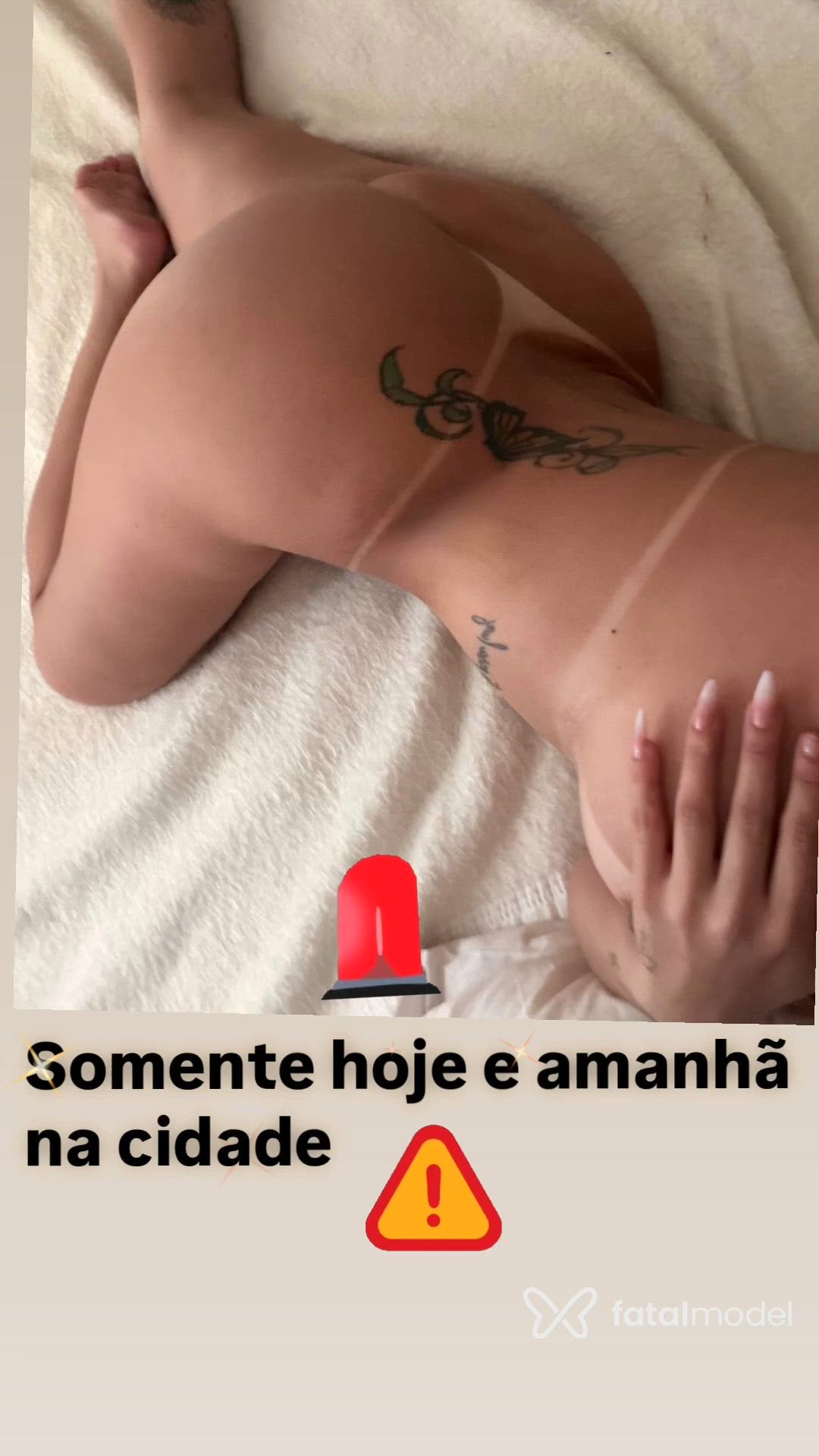 Vídeo 5