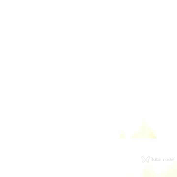 Vídeo 2