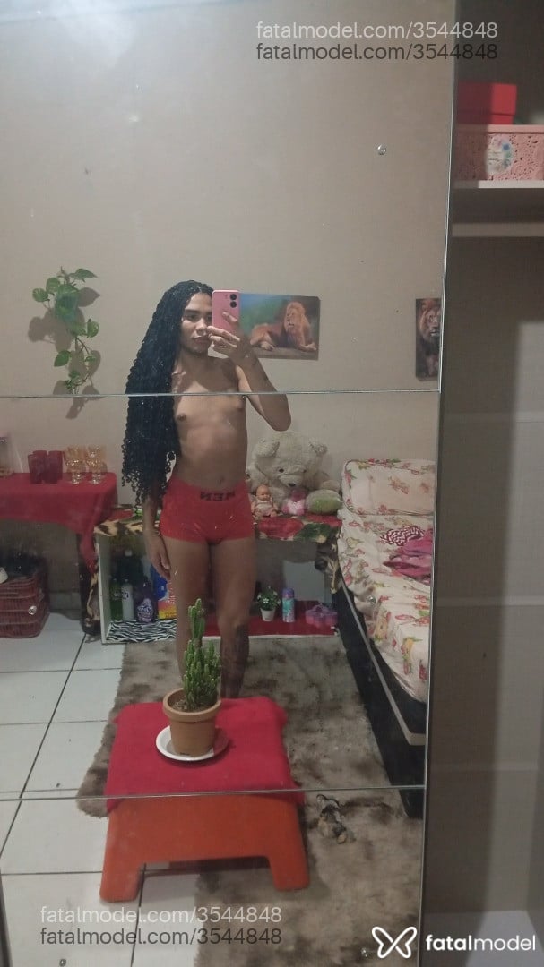 Imagem 2