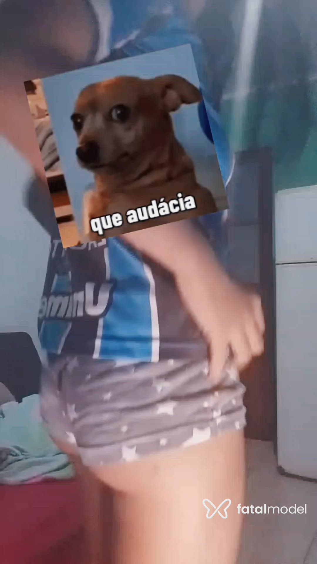 Vídeo 2